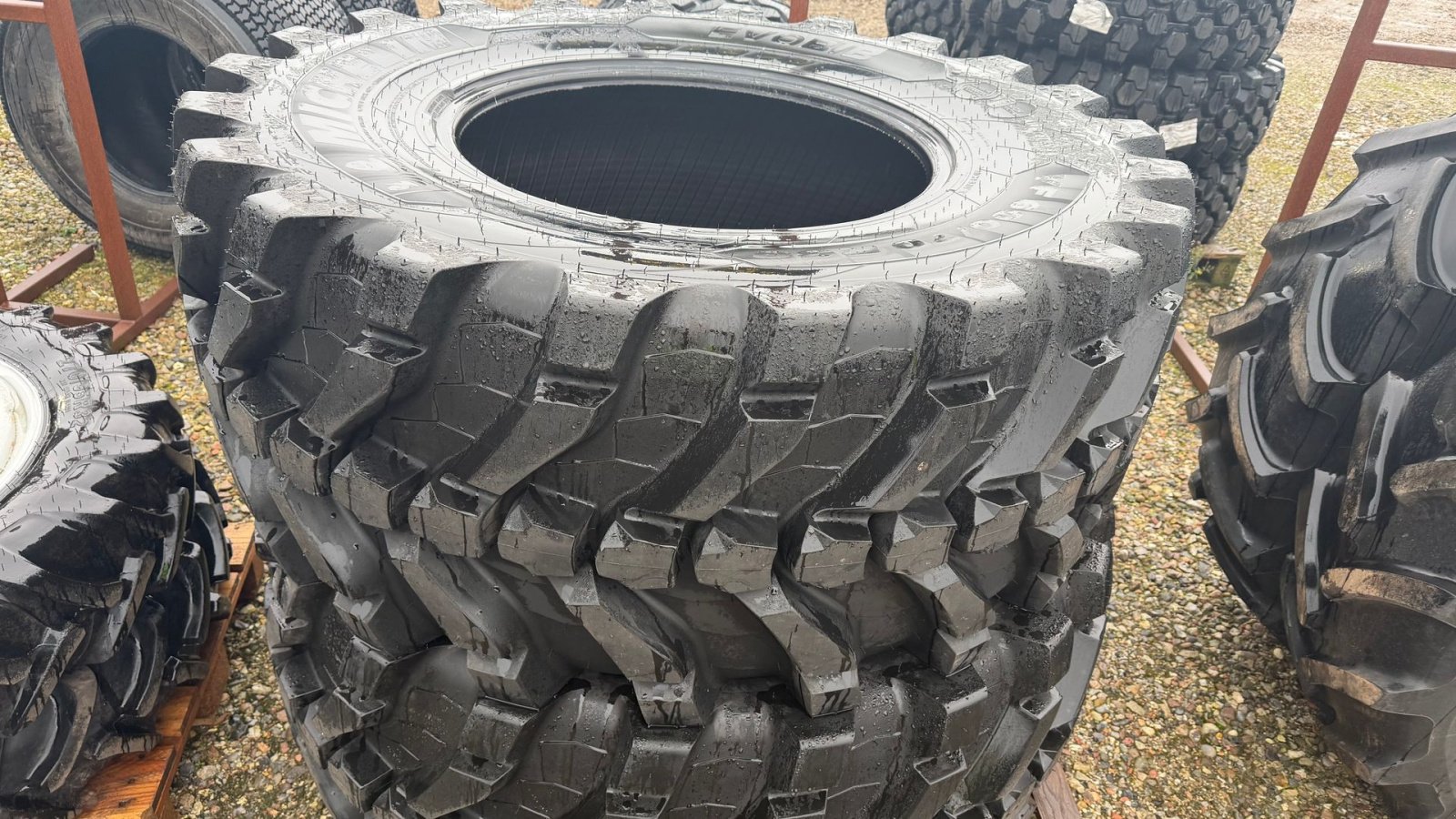 Reifen tipa Sonstige Michelin Evobib, Gebrauchtmaschine u Brørup (Slika 3)