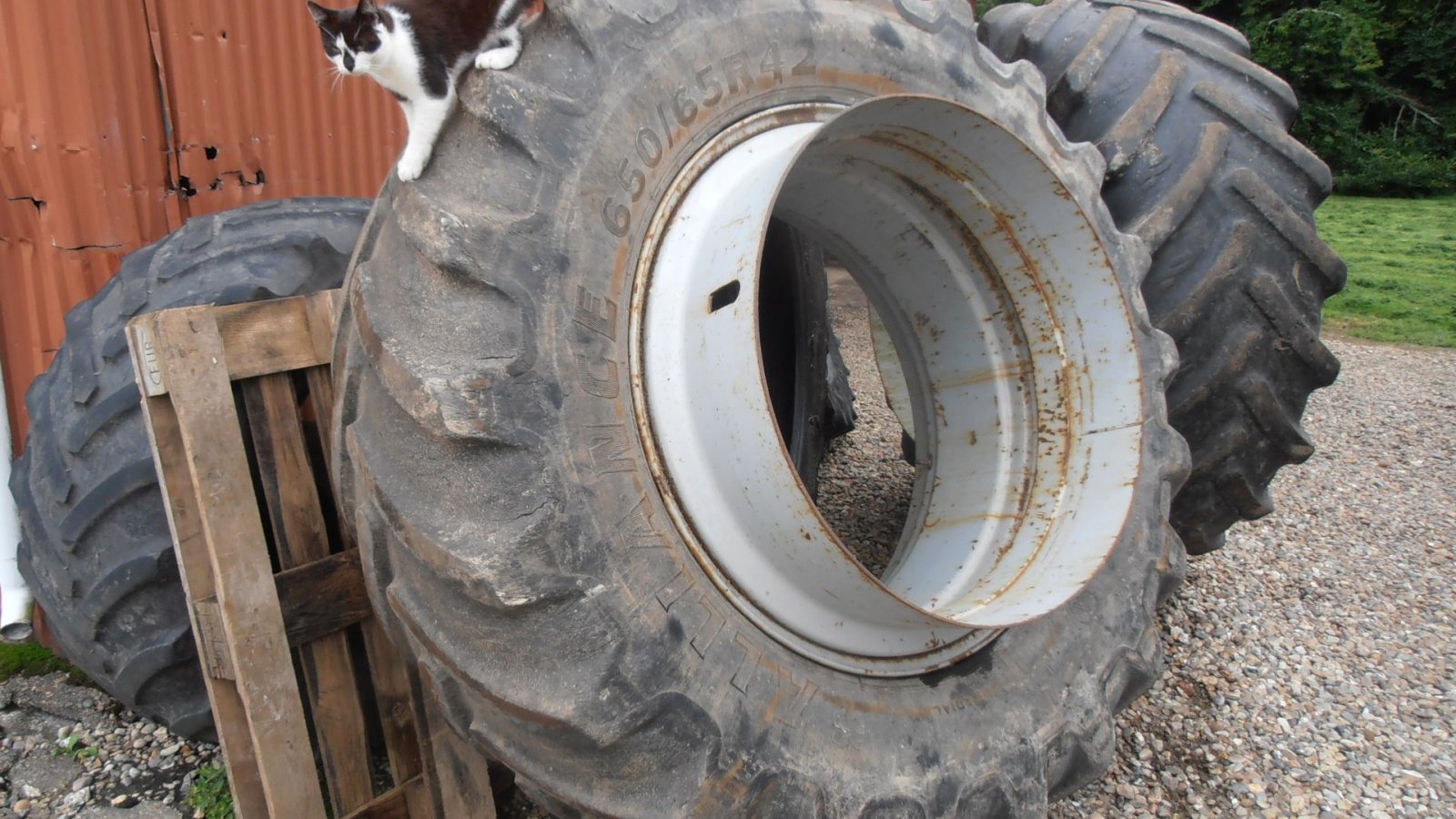 Reifen des Typs Sonstige Tvillingehjule Tvillingehjule, Gebrauchtmaschine in Varde (Bild 3)