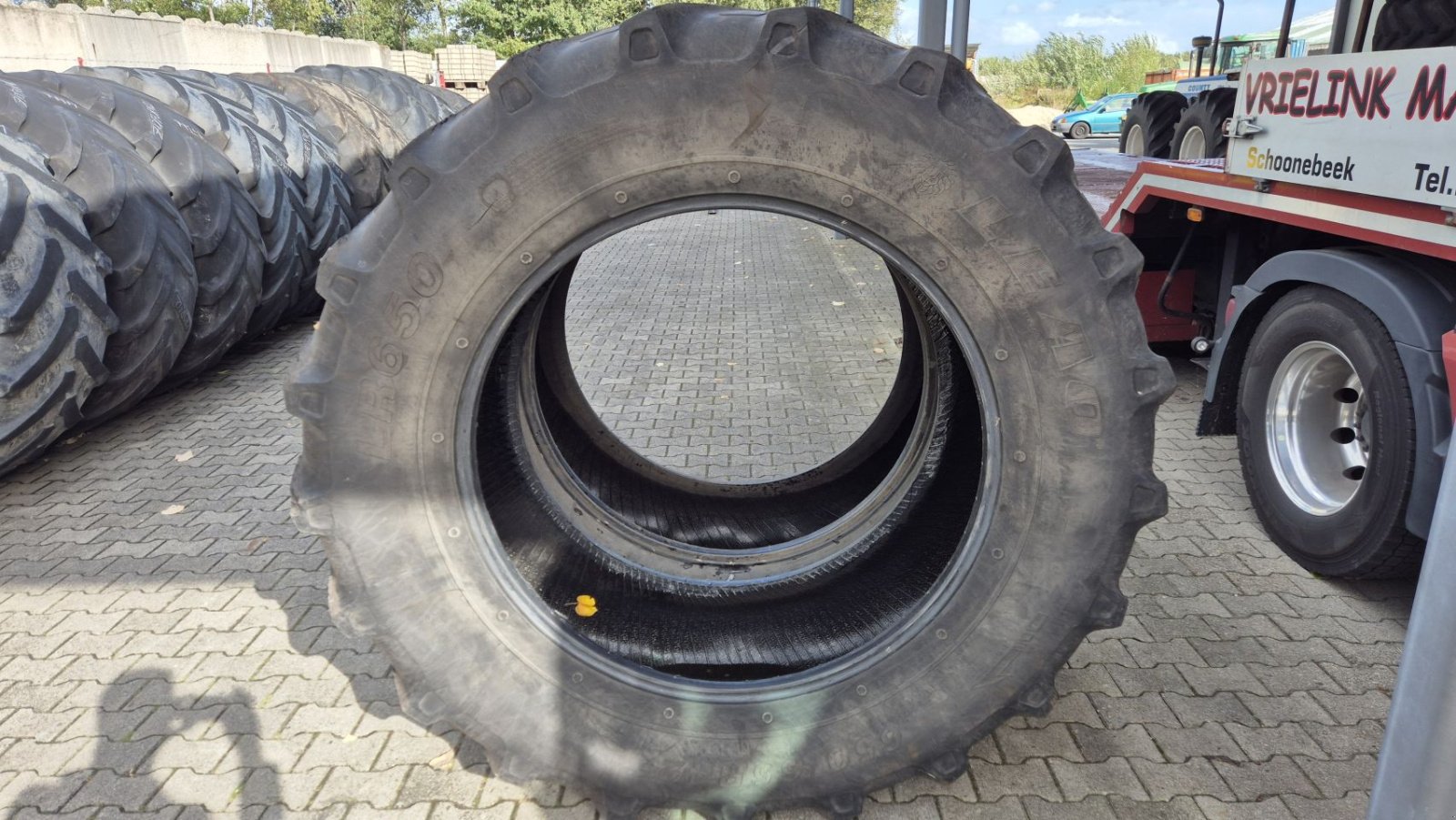 Reifen des Typs Sonstige Vredestein Leao Barkley 650/65R42 banden, Gebrauchtmaschine in Schoonebeek (Bild 4)