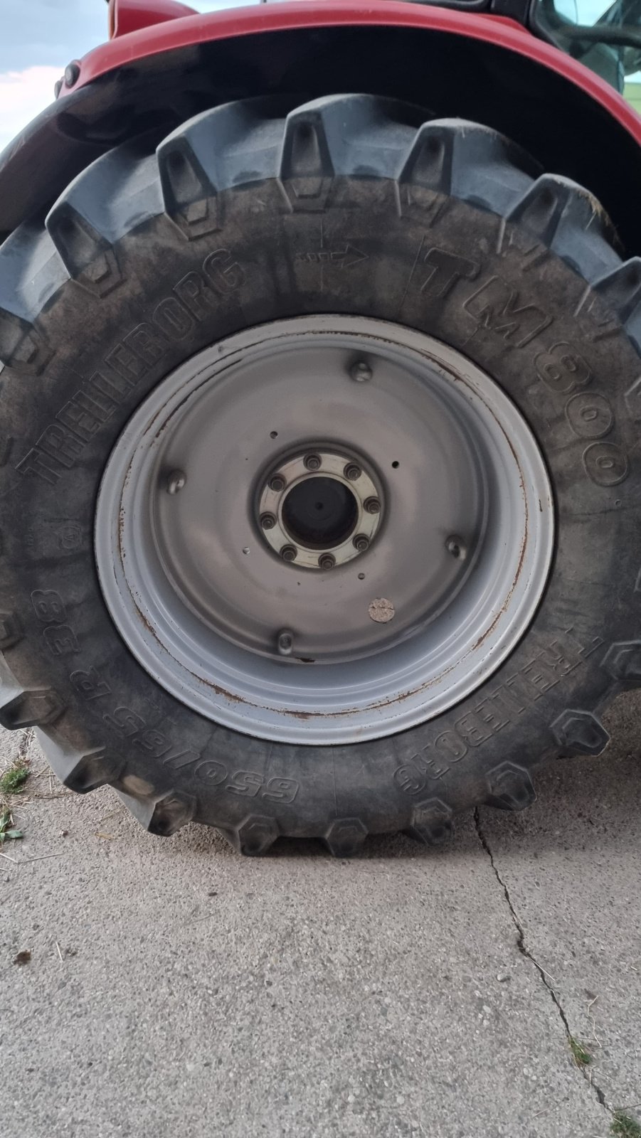 Reifen des Typs Trelleborg 650/65 R38, Gebrauchtmaschine in Erligheim (Bild 3)