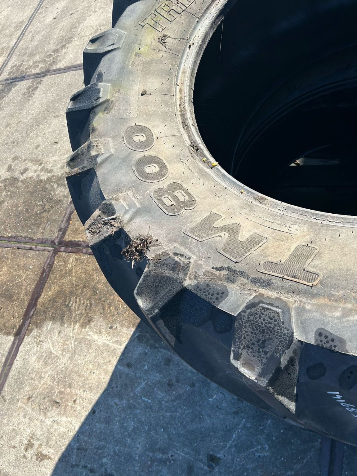 Reifen des Typs Trelleborg 650/65R38 tm 800, Gebrauchtmaschine in Joure (Bild 8)