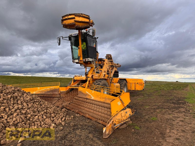 Reinigungslader a típus Kleine Cleanliner Mega, Gebrauchtmaschine ekkor: Herrngiersdorf (Kép 1)