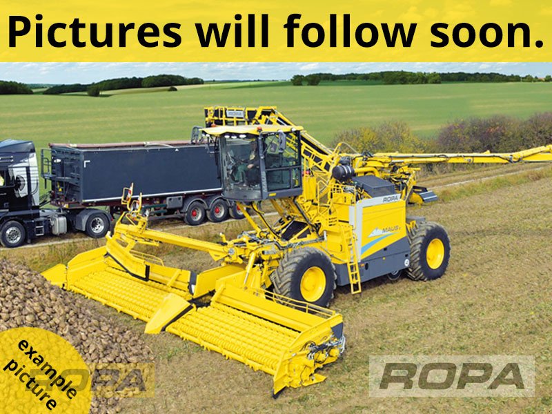 Reinigungslader от тип ROPA Maus 6, Gebrauchtmaschine в Herrngiersdorf