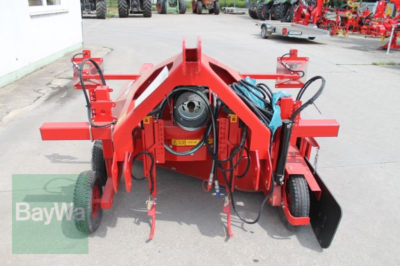 Roder des Typs Grimme ASA-LIFT OT-1500 ZWIEBEL, Gebrauchtmaschine in Straubing (Bild 3)