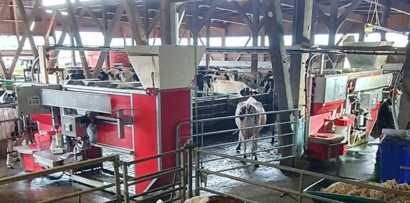 Rohrmelkanlage of the type Lely A2 Linke und Rechte, Gebrauchtmaschine in Härkingen (Picture 10)