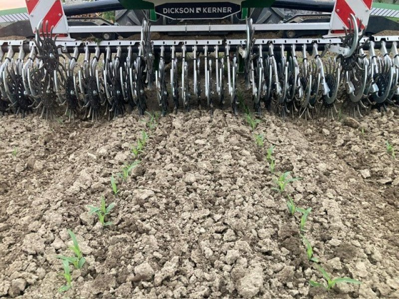 Rollhacke типа DicksonKerner VR650, Gebrauchtmaschine в Aislingen (Фотография 3)