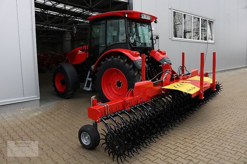 Rollhacke Türe ait Sonstige Rollhacke 600 6m Rollstriegel Striegel Rotorhacke Hacke Ackerstriegel Rotorstriegel NEU, Neumaschine içinde Sülzetal OT Osterweddingen (resim 6)