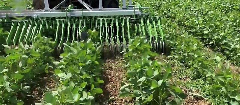 Rollhacke typu Sonstige Unkrautregulierungsmaschine Striegel Unkrautmaschine, Gebrauchtmaschine v Schmallenberg (Obrázek 11)