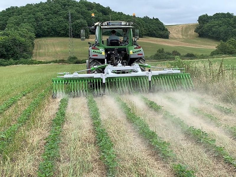 Rollhacke typu Sonstige Unkrautregulierungsmaschine Striegel Unkrautmaschine, Gebrauchtmaschine v Schmallenberg (Obrázek 2)