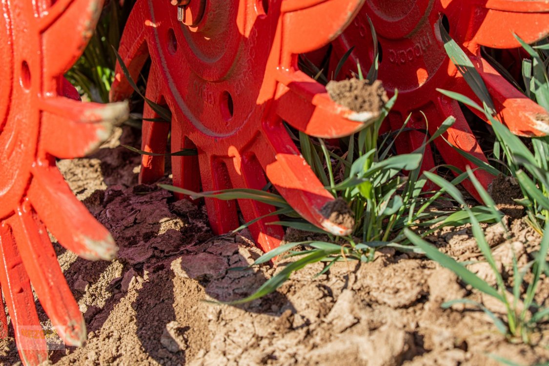 Rotorstriegel des Typs Sonstige Madara Sunrise Rollhacke 5,8 m, Rollstriegel (Lagermaschine), Neumaschine in Ditzingen (Bild 9)