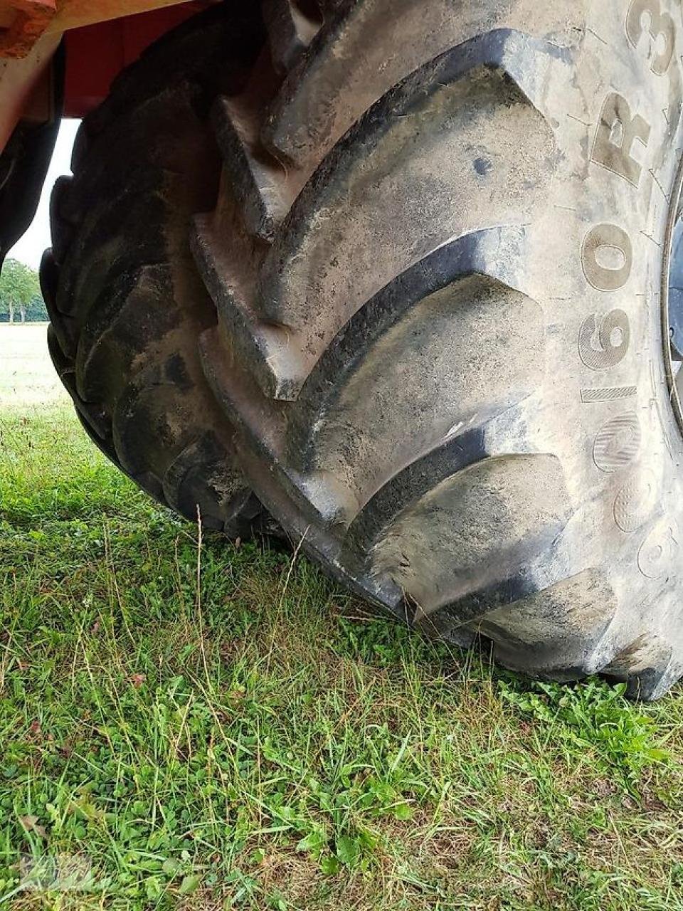 Rübenroder des Typs Grimme Maxtron 620, Gebrauchtmaschine in Pragsdorf (Bild 10)