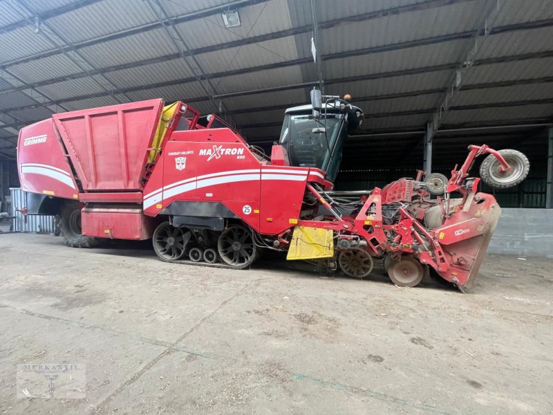 Rübenroder des Typs Grimme Maxtron 620, Gebrauchtmaschine in Pragsdorf