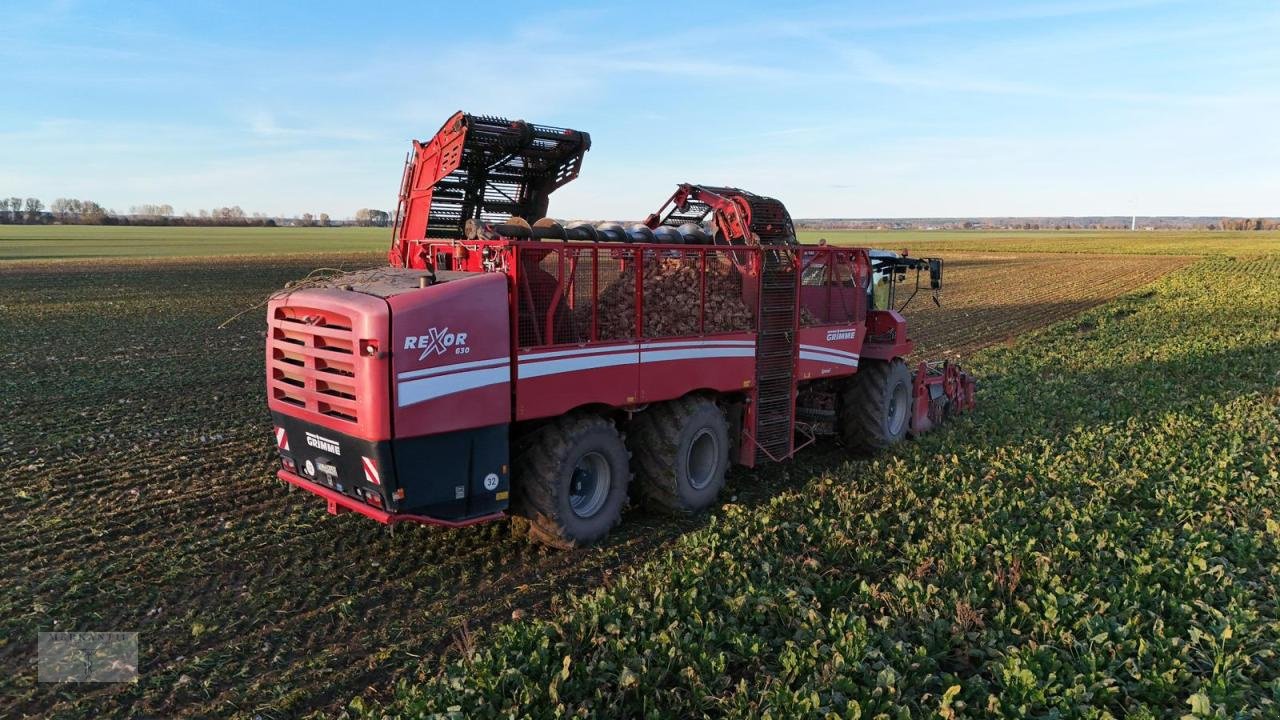 Rübenroder типа Grimme Rexor 630, Gebrauchtmaschine в Pragsdorf (Фотография 7)