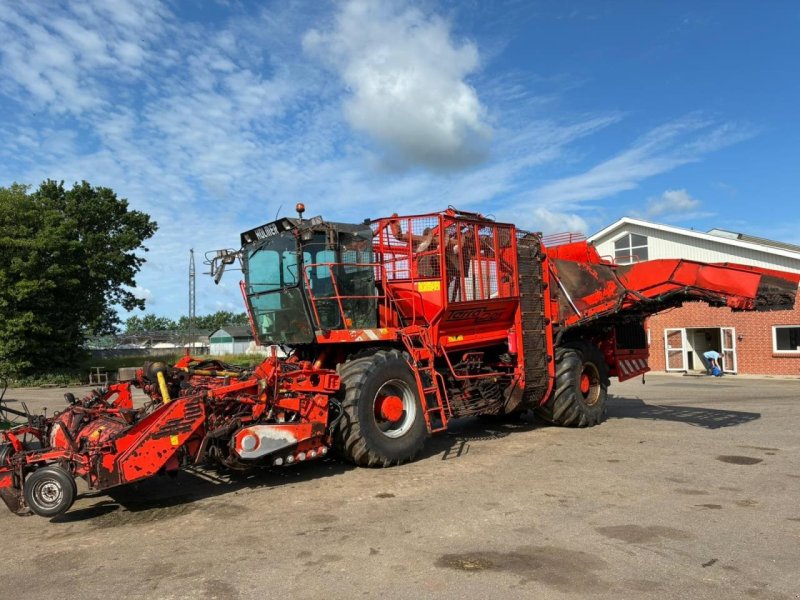 Rübenroder des Typs Holmer T2, Gebrauchtmaschine in Maribo (Bild 1)