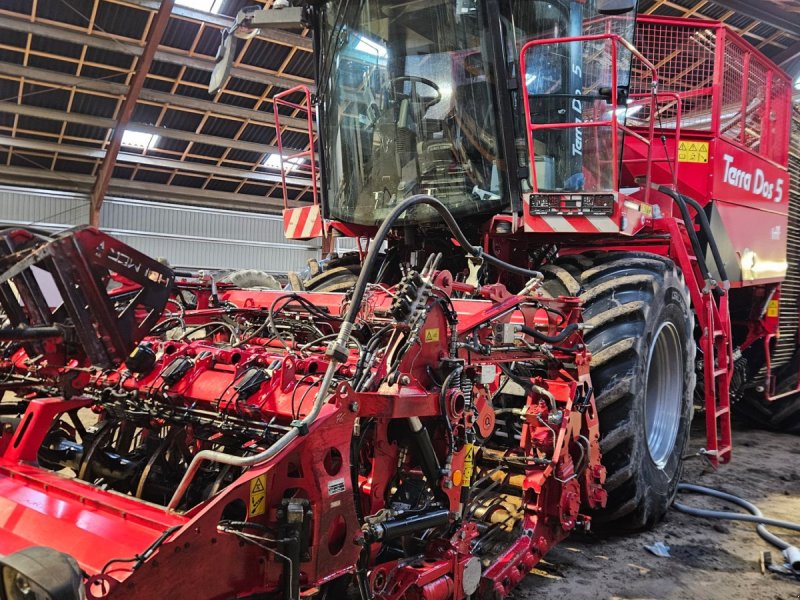 Rübenroder des Typs Holmer TerraDos 5 TerraDos 5, Gebrauchtmaschine in Nykøbing Falster