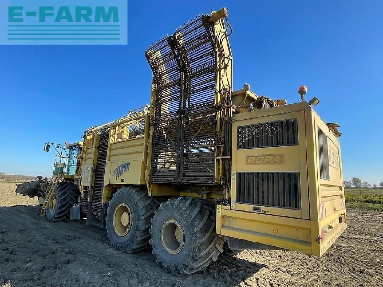 Rübenroder tipa ROPA euro tiger, Gebrauchtmaschine u SZEGED (Slika 3)