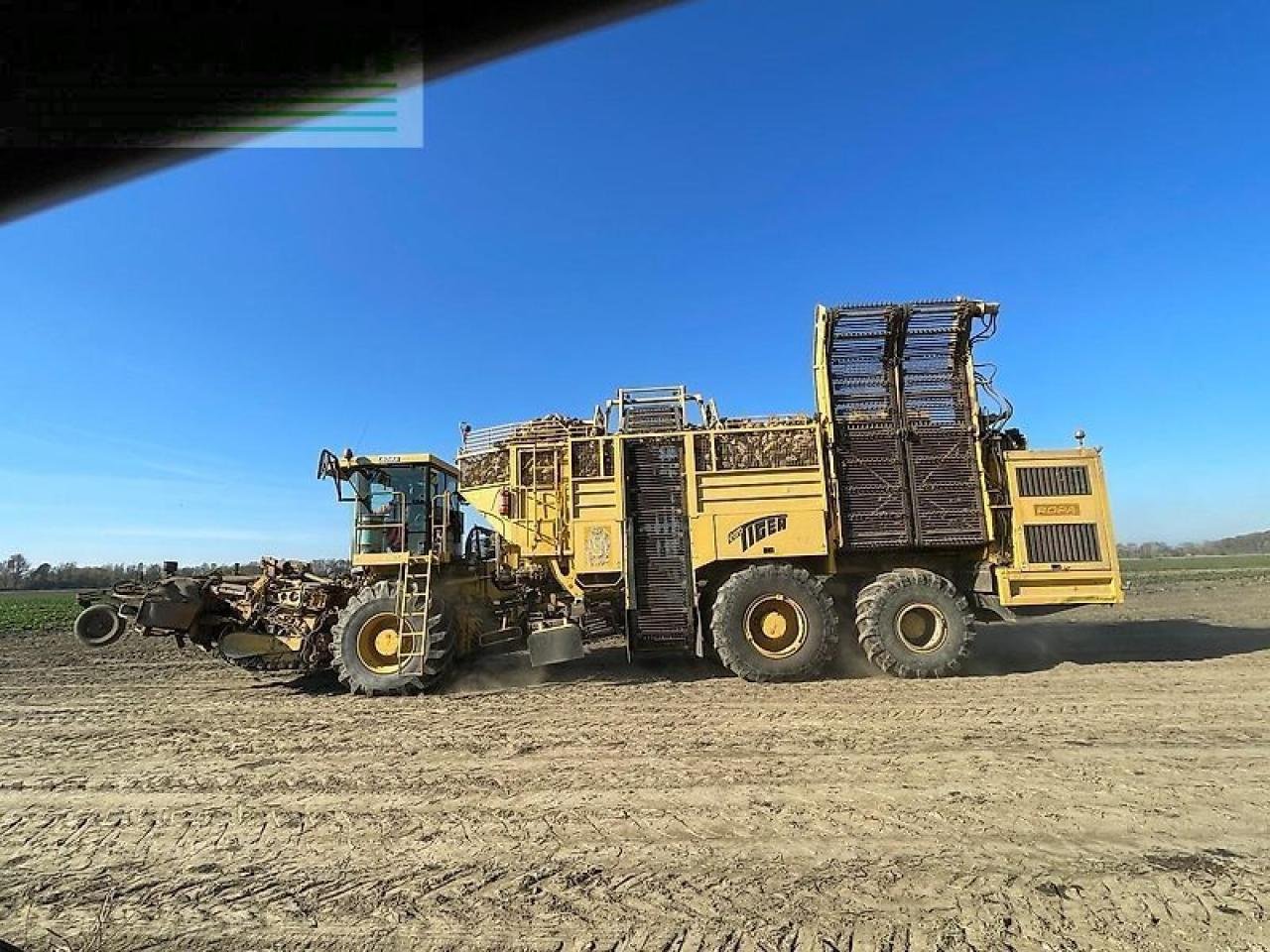 Rübenroder tipa ROPA euro tiger, Gebrauchtmaschine u SZEGED (Slika 4)