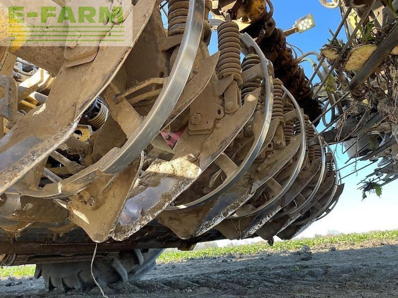 Rübenroder tipa ROPA euro tiger, Gebrauchtmaschine u SZEGED (Slika 8)