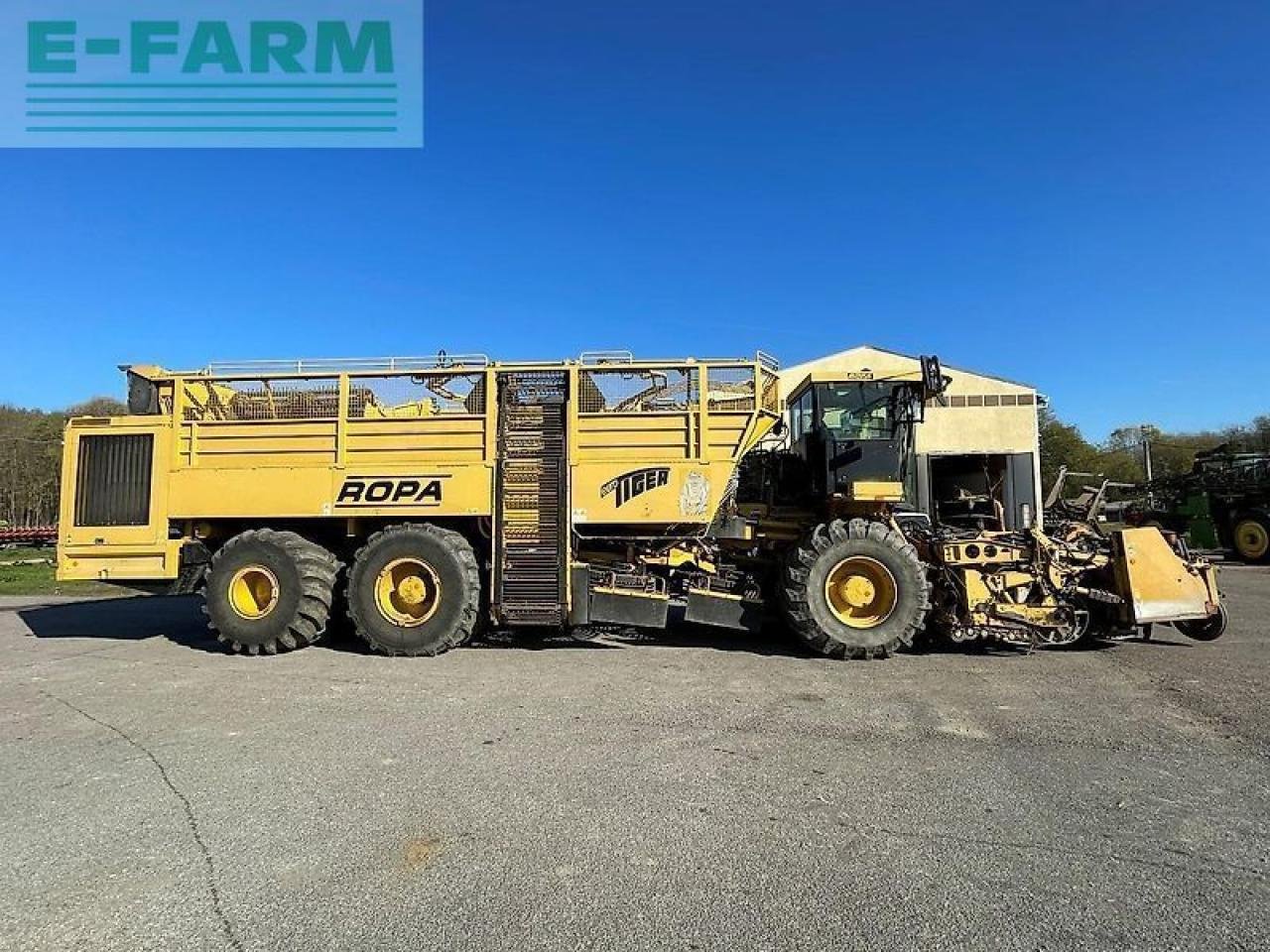 Rübenroder Türe ait ROPA euro tiger, Gebrauchtmaschine içinde SZEGED (resim 1)