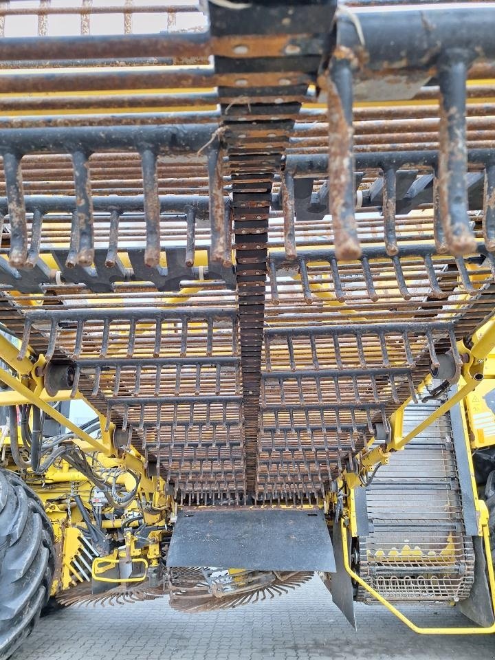 Rübenroder del tipo ROPA ROPA PANTHER, Gebrauchtmaschine In Maribo (Immagine 10)