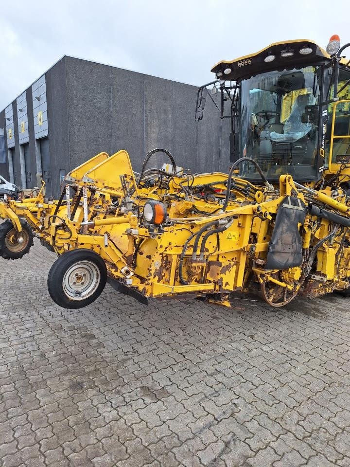 Rübenroder del tipo ROPA ROPA PANTHER, Gebrauchtmaschine In Maribo (Immagine 1)