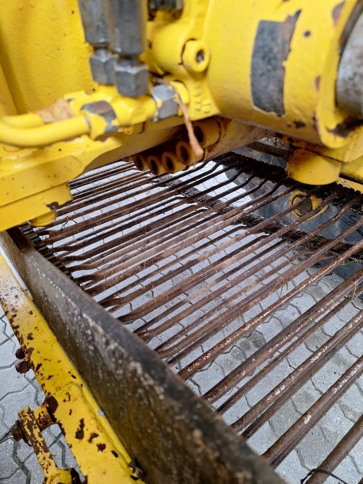 Rübenroder del tipo ROPA ROPA PANTHER, Gebrauchtmaschine In Maribo (Immagine 11)