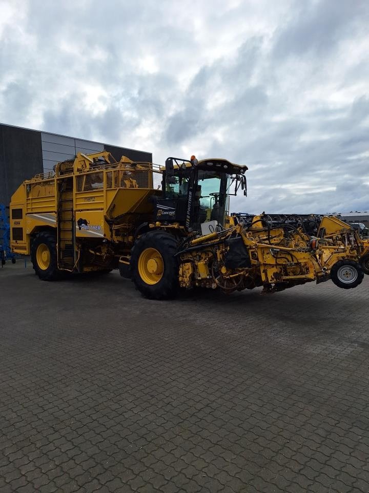 Rübenroder del tipo ROPA ROPA PANTHER, Gebrauchtmaschine In Maribo (Immagine 5)