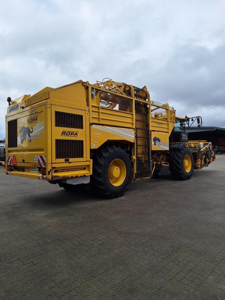 Rübenroder del tipo ROPA ROPA PANTHER, Gebrauchtmaschine In Maribo (Immagine 3)