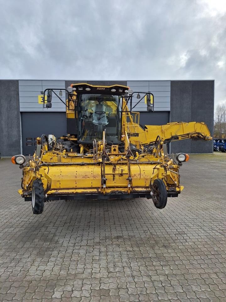 Rübenroder of the type ROPA ROPA PANTHER, Gebrauchtmaschine in Maribo (Picture 5)