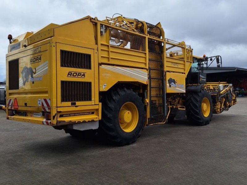 Rübenroder of the type ROPA ROPA PANTHER, Gebrauchtmaschine in Maribo (Picture 1)