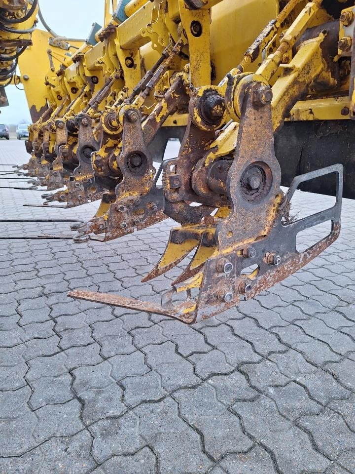 Rübenroder of the type ROPA ROPA PANTHER, Gebrauchtmaschine in Maribo (Picture 4)