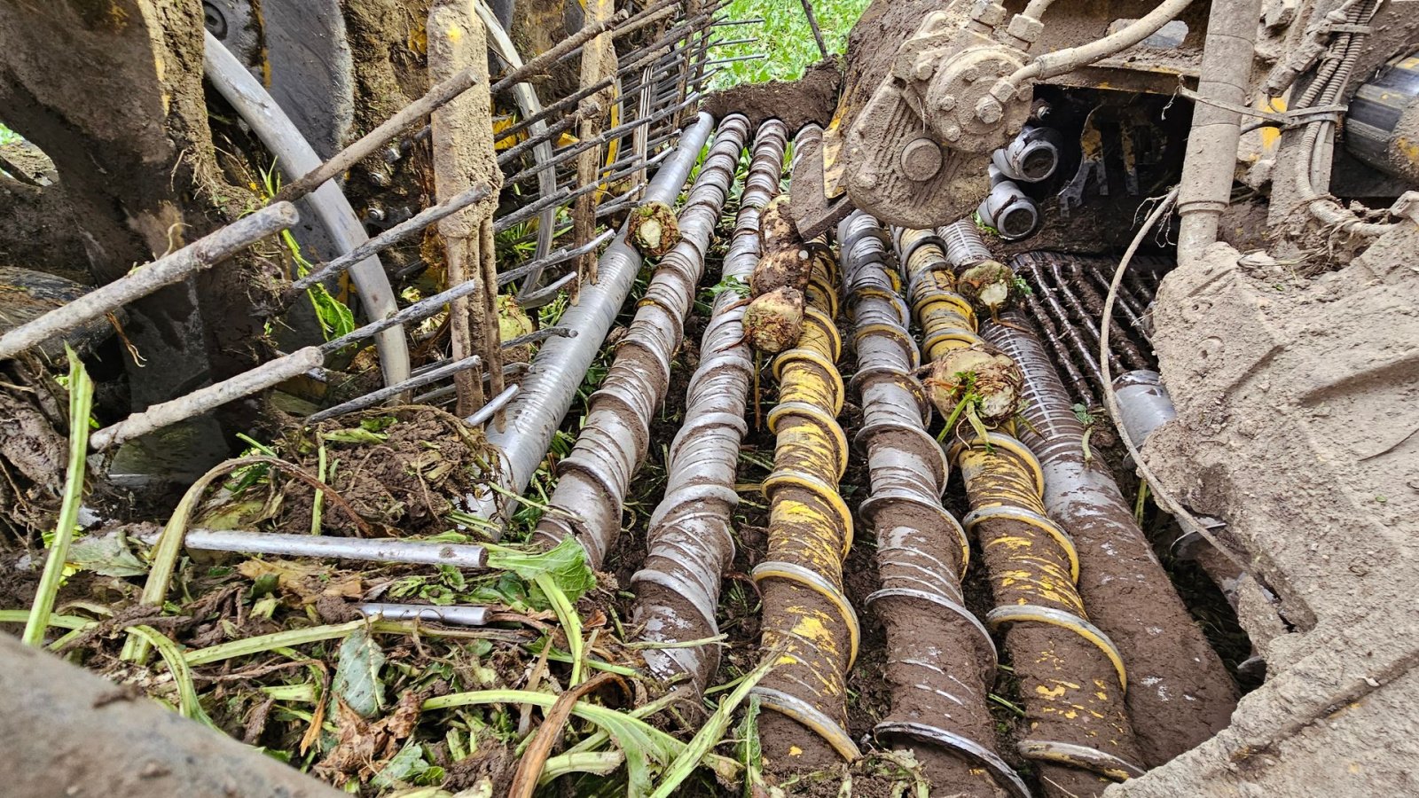 Rübenroder des Typs ROPA Tiger 6S Tiger 6 S, Gebrauchtmaschine in Nykøbing Falster (Bild 5)