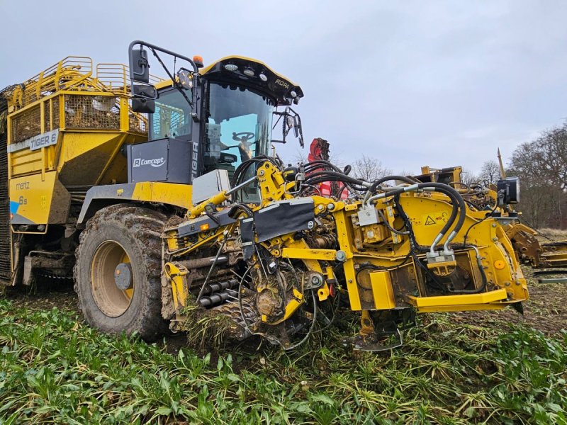 Rübenroder des Typs ROPA Tiger 6S Tiger 6 S, Gebrauchtmaschine in Nykøbing Falster