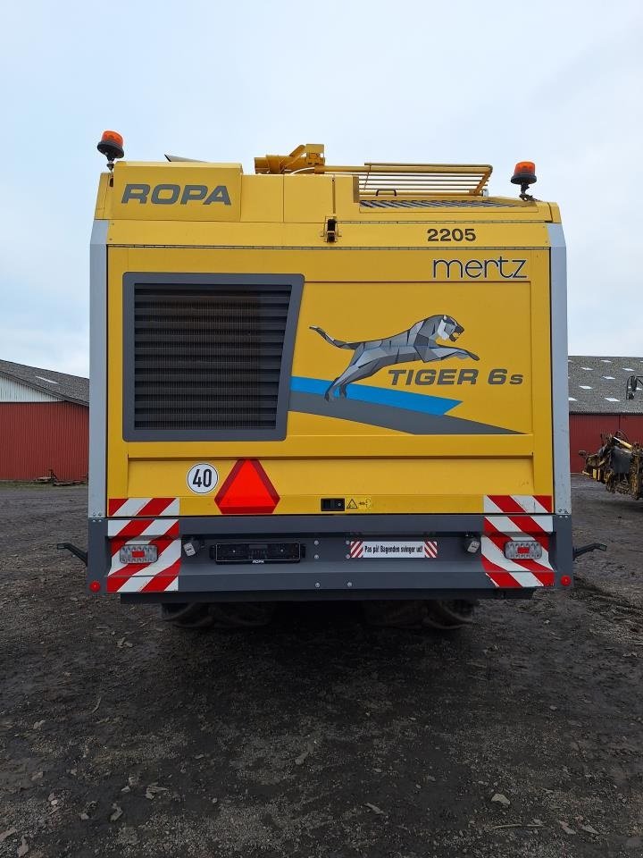 Rübenroder типа ROPA TIGER 6S, Gebrauchtmaschine в Maribo (Фотография 3)