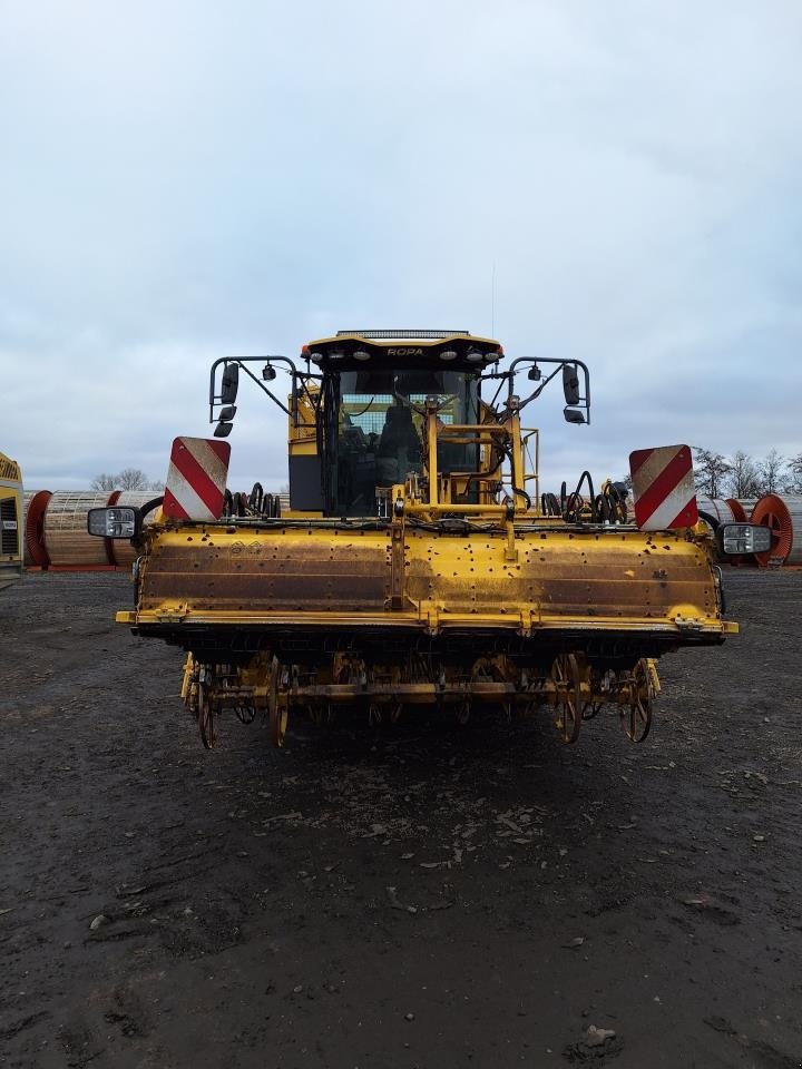 Rübenroder типа ROPA TIGER 6S, Gebrauchtmaschine в Maribo (Фотография 7)