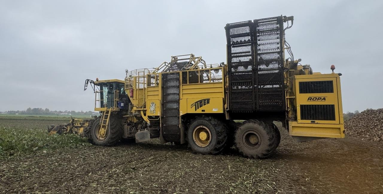 Rübenroder типа ROPA Tiger - einsatzfähig & viele Ersatzteile, Gebrauchtmaschine в Könnern (Фотография 6)
