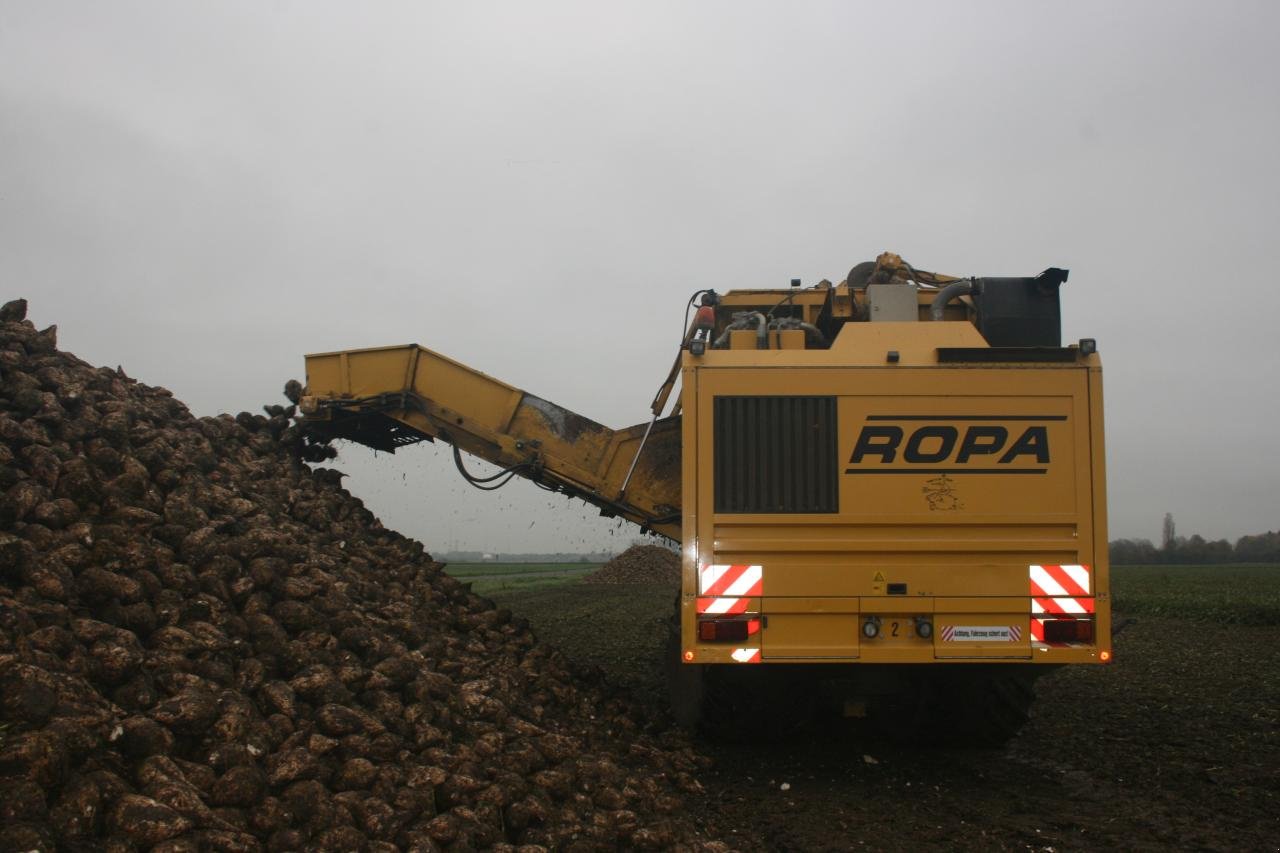 Rübenroder типа ROPA Tiger - einsatzfähig & viele Ersatzteile, Gebrauchtmaschine в Könnern (Фотография 7)