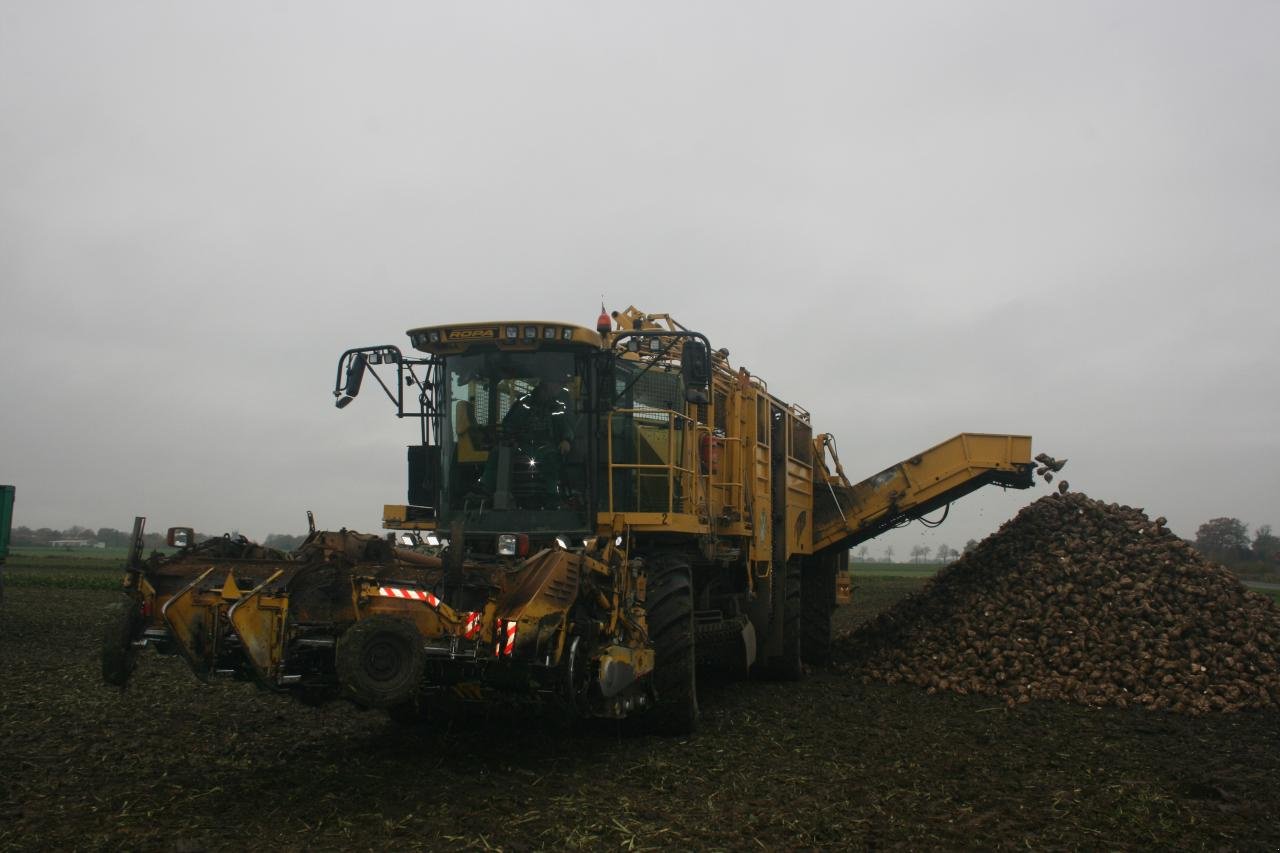 Rübenroder типа ROPA Tiger - einsatzfähig & viele Ersatzteile, Gebrauchtmaschine в Könnern (Фотография 8)