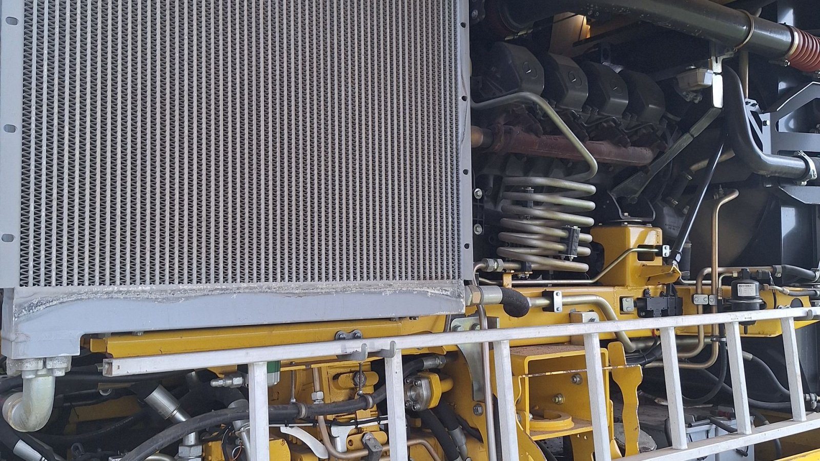 Rübenroder del tipo ROPA Tiger V8-3 Ropa, Gebrauchtmaschine In Maribo (Immagine 14)