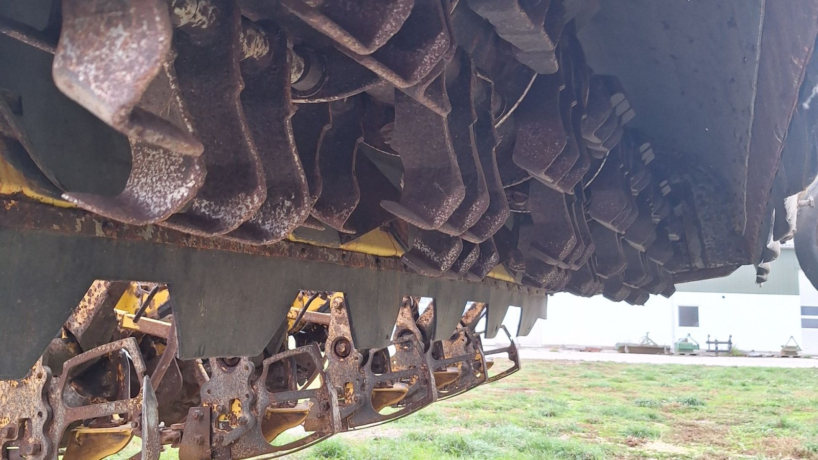 Rübenroder del tipo ROPA Tiger V8-3 Ropa, Gebrauchtmaschine In Maribo (Immagine 5)