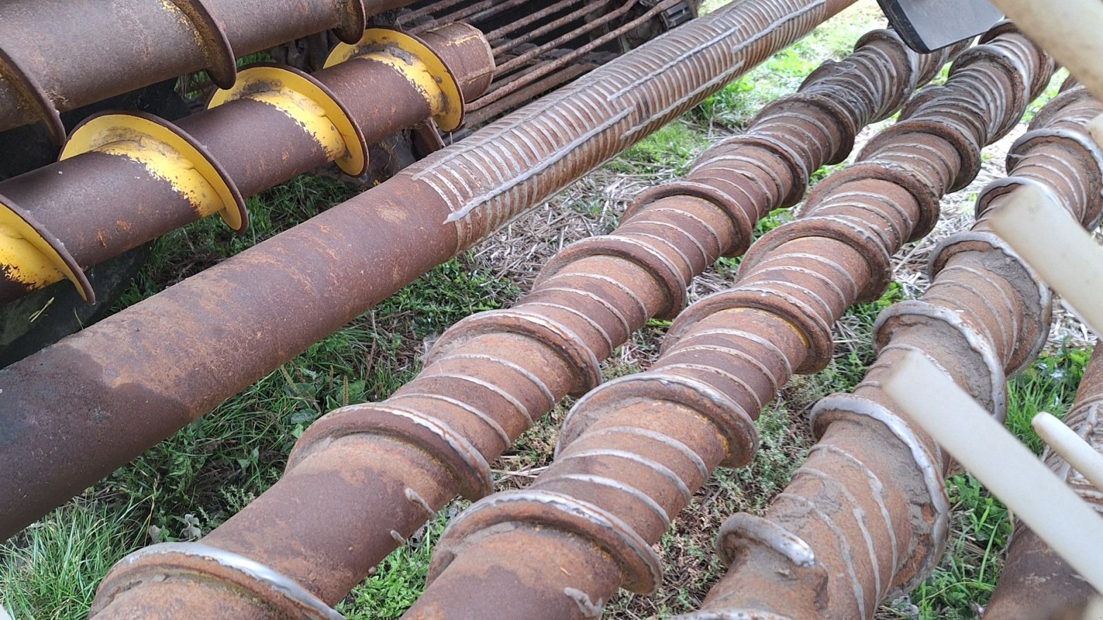 Rübenroder del tipo ROPA Tiger V8-3 Ropa, Gebrauchtmaschine In Maribo (Immagine 4)