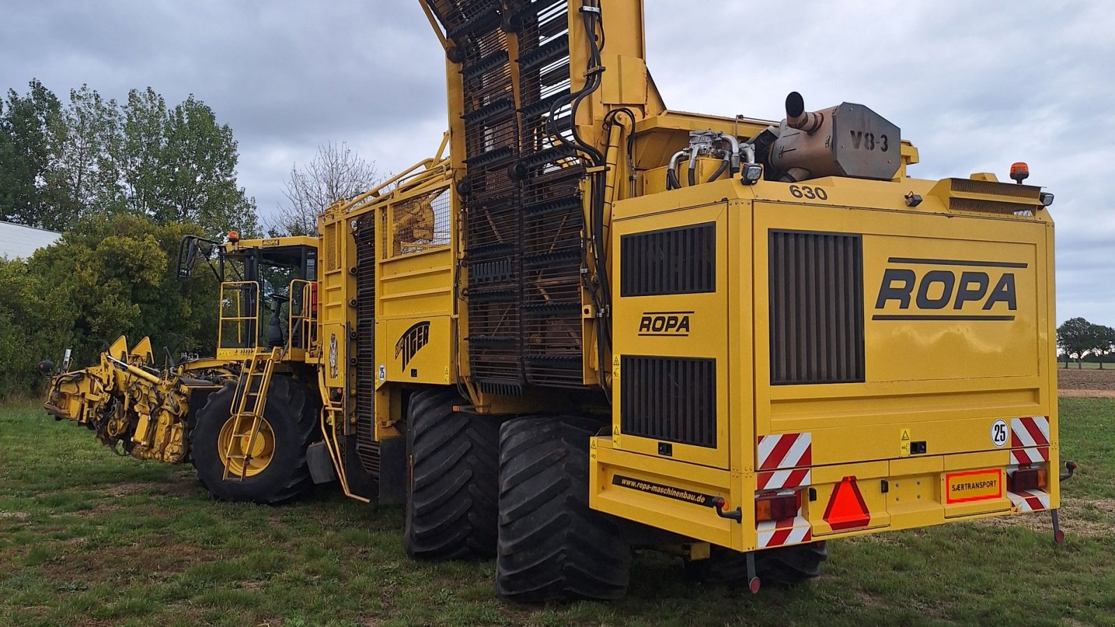 Rübenroder del tipo ROPA Tiger V8-3 Ropa, Gebrauchtmaschine In Maribo (Immagine 2)