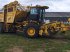 Rübenroder del tipo ROPA Tiger V8-3 Ropa, Gebrauchtmaschine In Maribo (Immagine 9)