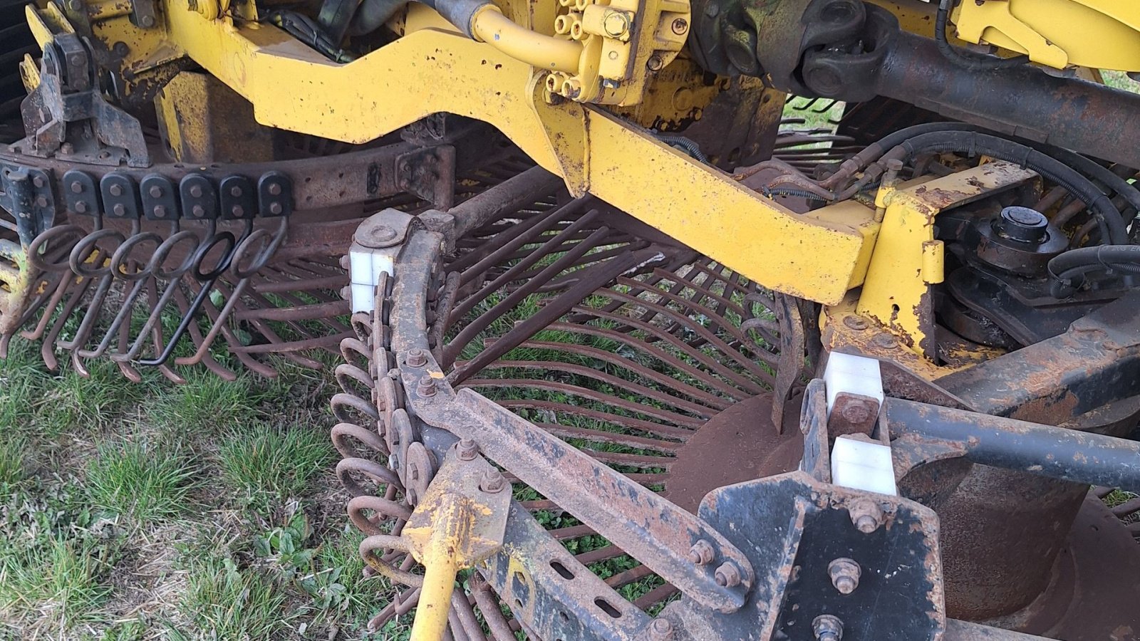 Rübenroder del tipo ROPA Tiger V8-3 Ropa, Gebrauchtmaschine In Maribo (Immagine 7)