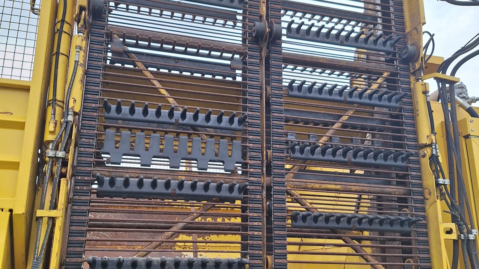 Rübenroder del tipo ROPA Tiger V8-3 Ropa, Gebrauchtmaschine In Maribo (Immagine 3)