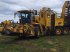 Rübenroder del tipo ROPA Tiger V8-3 Ropa, Gebrauchtmaschine In Maribo (Immagine 1)