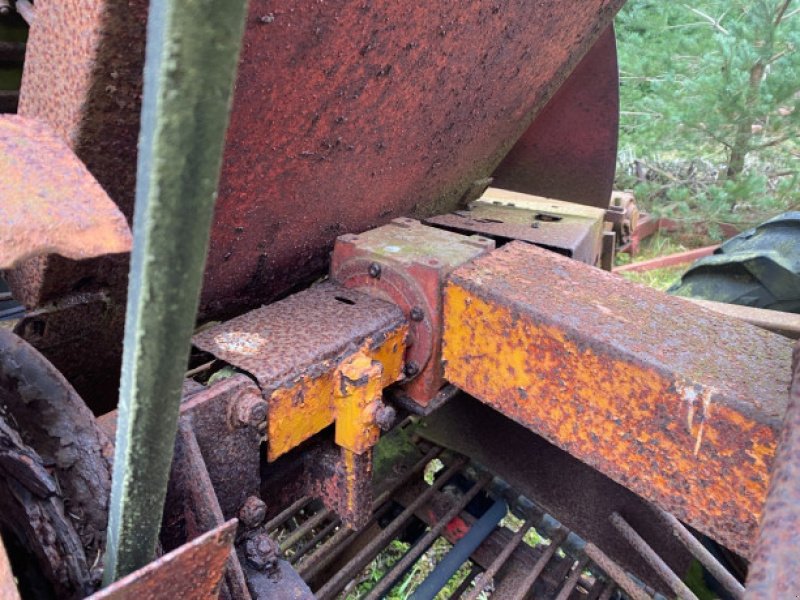 Rübenroder типа Tim M2, Gebrauchtmaschine в Hemmet (Фотография 2)