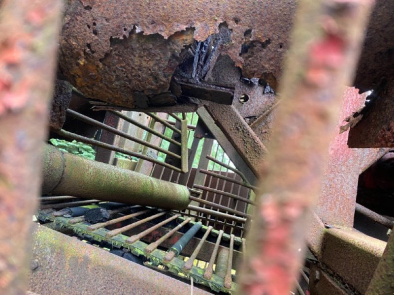 Rübenroder типа Tim M2, Gebrauchtmaschine в Hemmet (Фотография 15)