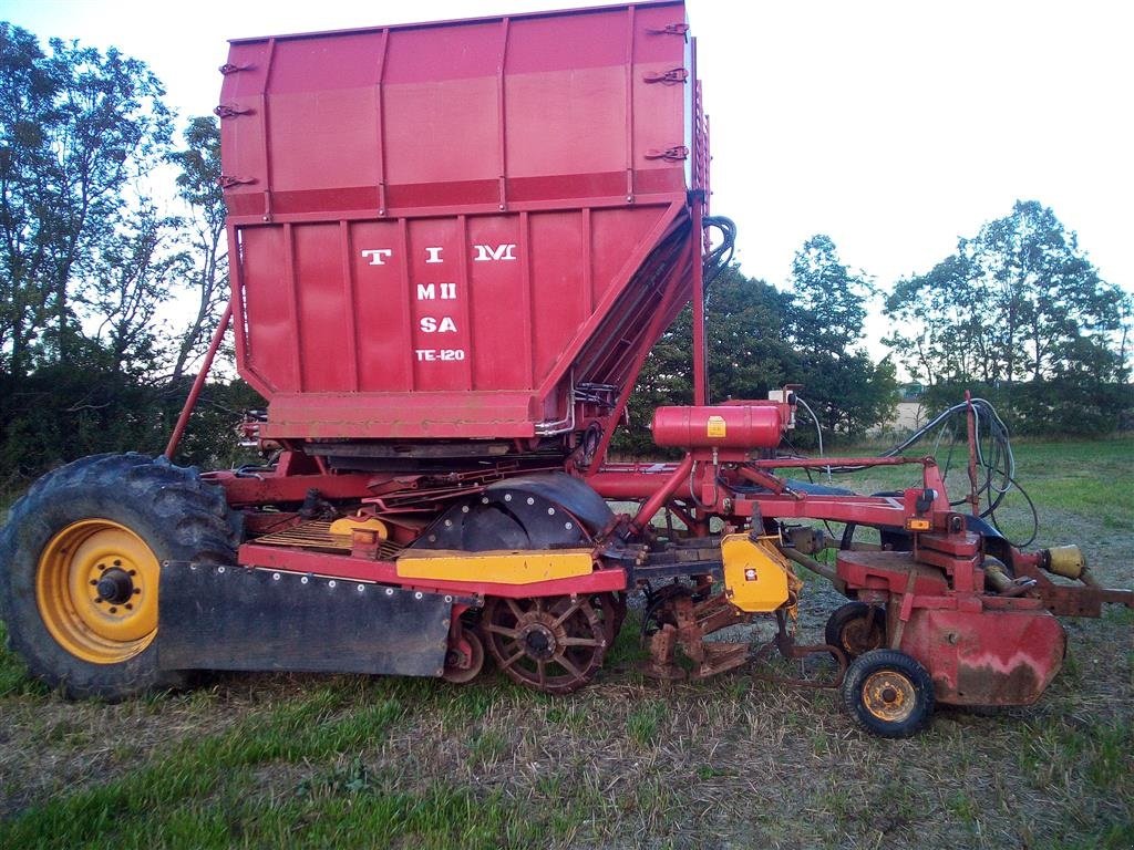 Rübenroder Türe ait Tim MII SA TE 120, Gebrauchtmaschine içinde Søllested (resim 6)