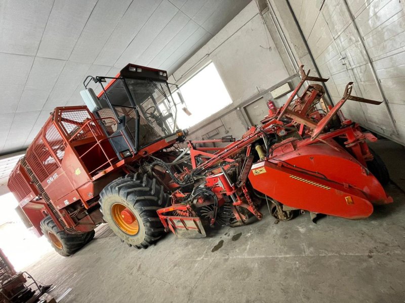 Rübenvollernter typu Barigelli B6 4x4, Gebrauchtmaschine w Obritzberg (Zdjęcie 1)